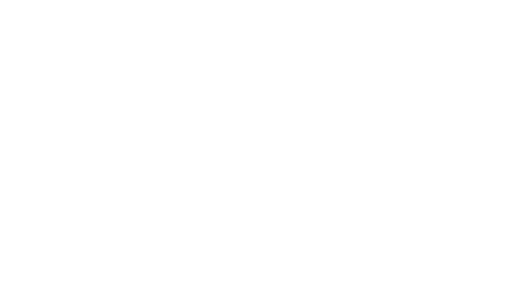 안주가